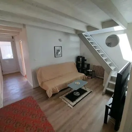 Toulousaine Avec Jardin Proche Centre Wifi * Тулуза